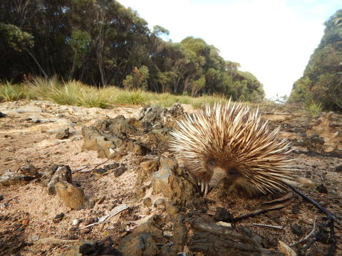 Kangaroo Island Wilderness Retreat - Accommodation Redcliffe 20