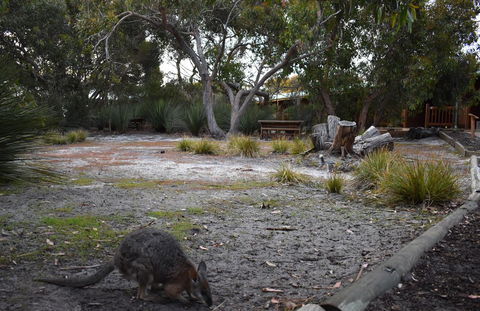 Kangaroo Island Wilderness Retreat - Accommodation Redcliffe 1