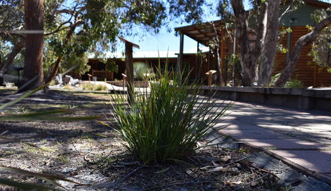 Kangaroo Island Wilderness Retreat - Accommodation Redcliffe 21