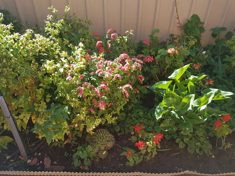 Tanunda\'s Magpie House - Accommodation Redcliffe 24