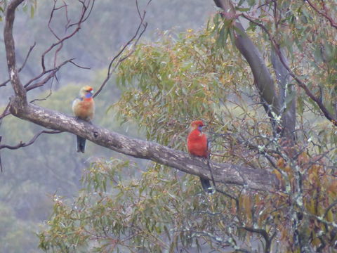 Molly's Chase - Accommodation Redcliffe 13