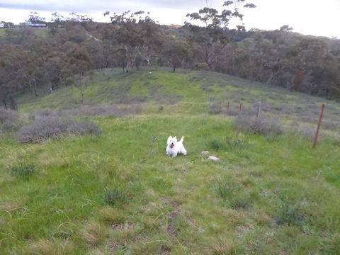 Molly's Chase - Accommodation Redcliffe 22