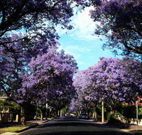 Monaco Court Apartment Adelaide - Accommodation Redcliffe