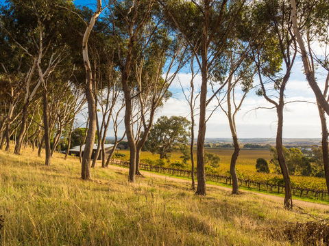 Shadow Creek McLaren Vale - Accommodation Redcliffe 5