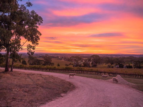 Shadow Creek McLaren Vale - Accommodation Redcliffe 24