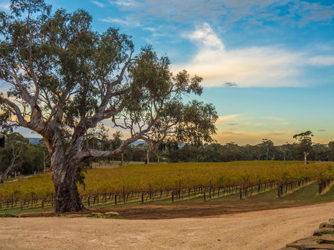 Shadow Creek McLaren Vale - Accommodation Redcliffe 23