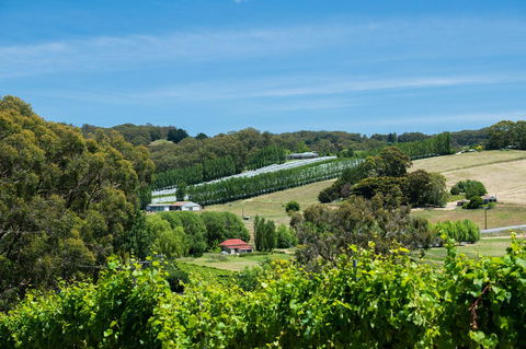 The Other House - Accommodation Redcliffe 3