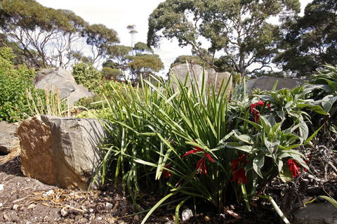 Cape Jervis Holiday Units - Accommodation Redcliffe 6