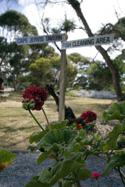 Cape Jervis Holiday Units - Accommodation Redcliffe 13