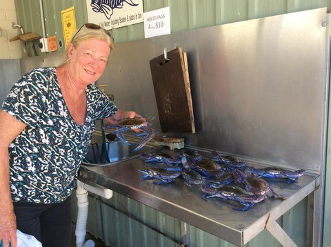 Ceduna Foreshore Caravan Park - Accommodation Redcliffe 28