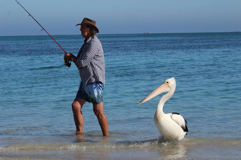 Ceduna Foreshore Caravan Park - Accommodation Redcliffe 21