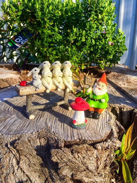 Inglenook Cottage - Accommodation Redcliffe 34