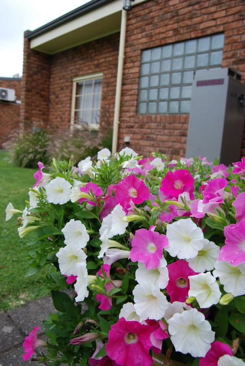 Arkana Motor Inn & Terrace Apartments - Accommodation Redcliffe 40