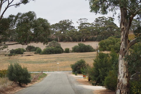 32 West B&B - Accommodation Redcliffe 4