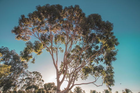 Seppelts View Cabins - Accommodation Redcliffe 24