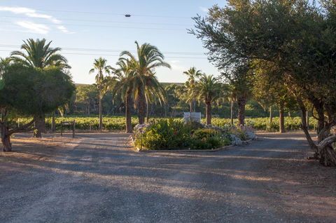 Seppelts View Cabins - Accommodation Redcliffe 3