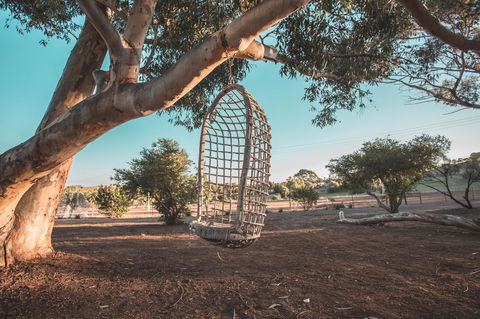 Seppelts View Cabins - Accommodation Redcliffe 15