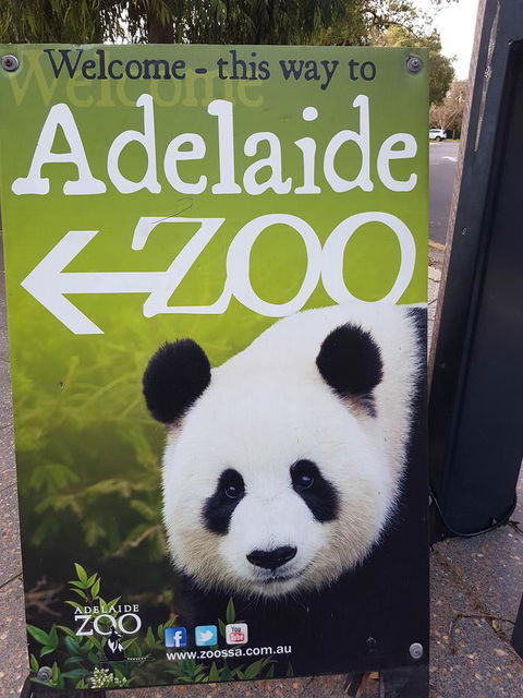 Adelaide Style Accommodation-Close To City-North Adelaide-3 Bdrm- FREE Parking - Accommodation Redcliffe 35