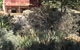 Kit Kat Cottage - Heritage Accommodation Burra - thumb 20