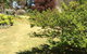 Kit Kat Cottage - Heritage Accommodation Burra - thumb 6
