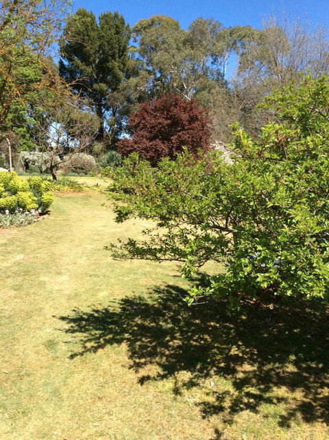 Kit Kat Cottage - Heritage Accommodation Burra - Accommodation Redcliffe 6