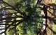 Kit Kat Cottage - Heritage Accommodation Burra - thumb 3