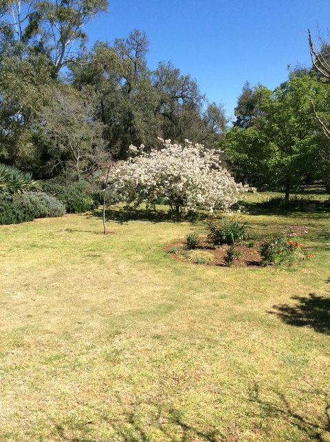 Kit Kat Cottage - Heritage Accommodation Burra - Accommodation Redcliffe 5