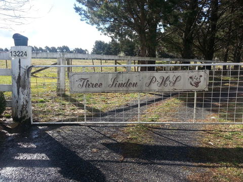 Three Linden - Accommodation Redcliffe 6