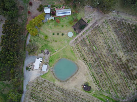 STUDIO ECHUNGA Adelaide Hills - Accommodation Redcliffe 22