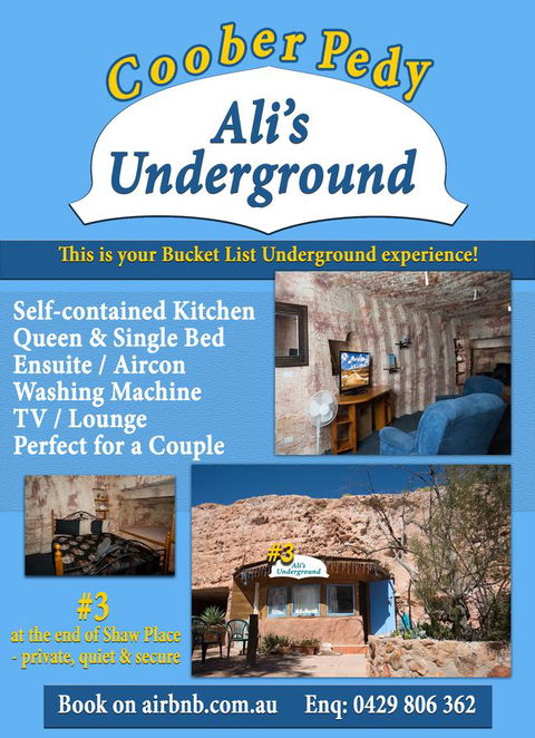 Ali\'s Underground Studio - Accommodation Redcliffe 12