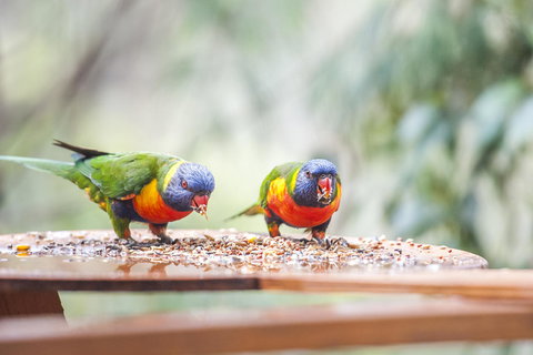 Smiths Lake House - Accommodation Redcliffe 18