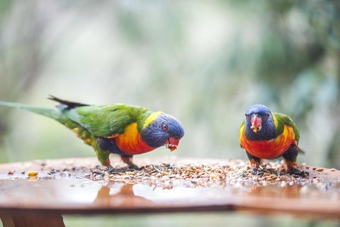 Smiths Lake House - Accommodation Redcliffe 28