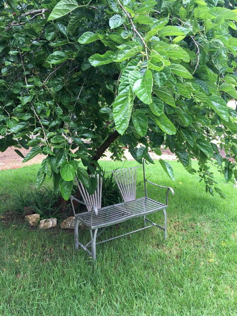 Amy\'s House Bed & Breakfast - Accommodation Redcliffe 22