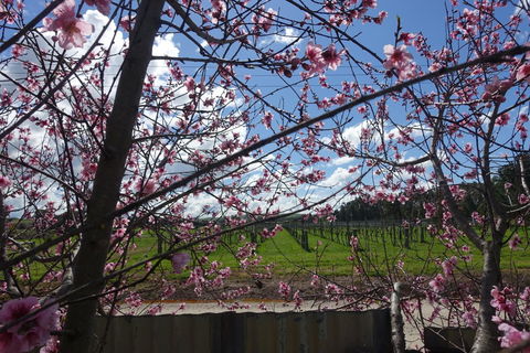 Amy\'s House Bed & Breakfast - Accommodation Redcliffe 40