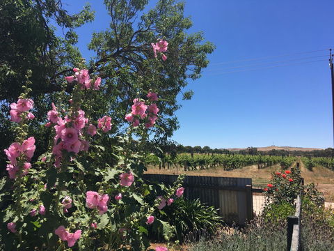 Amy\'s House Bed & Breakfast - Accommodation Redcliffe 29