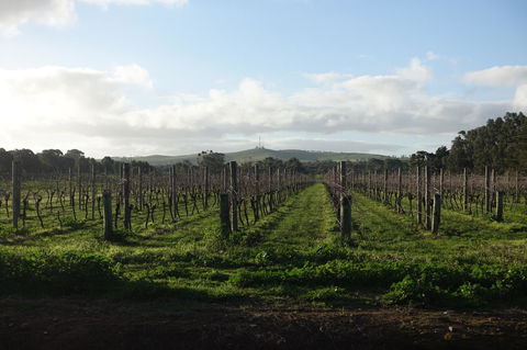 Amy\'s House Bed & Breakfast - Accommodation Redcliffe 31