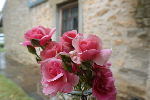 Amy\'s House Bed & Breakfast - Accommodation Redcliffe 30