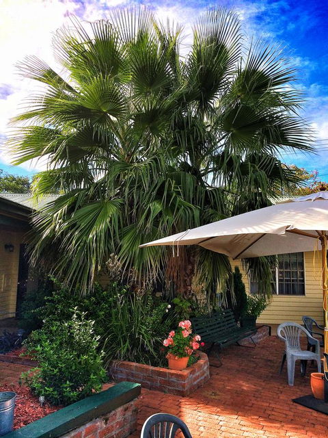Ten Dollar Town Motel - Accommodation Redcliffe 17