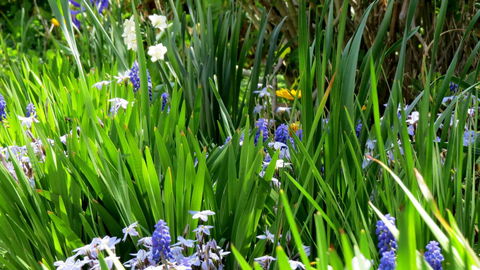 The Pig And Whistle - Accommodation Redcliffe 23