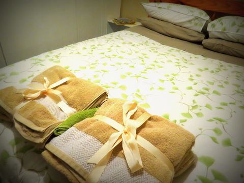 The Pig And Whistle - Accommodation Redcliffe 3