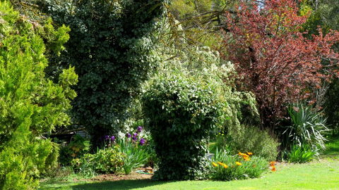 The Pig And Whistle - Accommodation Redcliffe 19