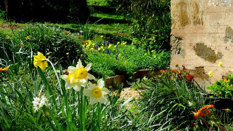 The Pig And Whistle - Accommodation Redcliffe 20