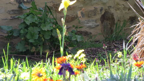 The Pig And Whistle - Accommodation Redcliffe 17