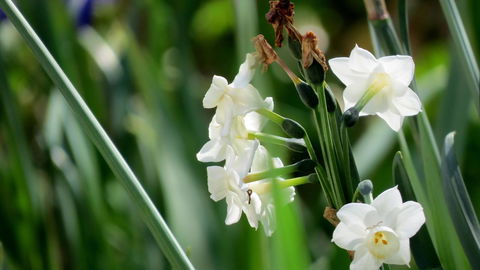 The Pig And Whistle - Accommodation Redcliffe 21