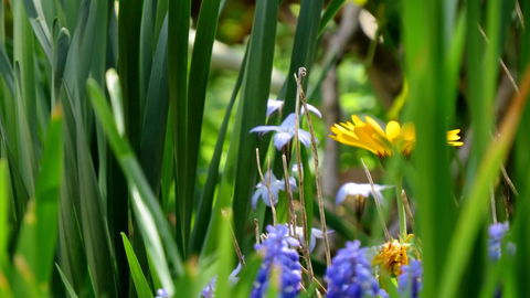 The Pig And Whistle - Accommodation Redcliffe 22