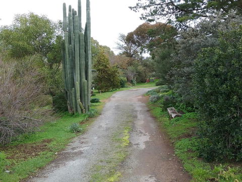 The Pig And Whistle - Accommodation Redcliffe 37