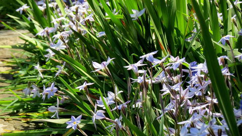 The Pig And Whistle - Accommodation Redcliffe 24