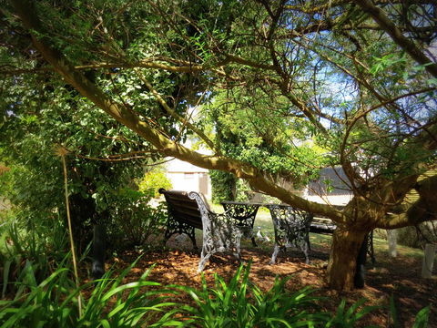 The Pig And Whistle - Accommodation Redcliffe 4