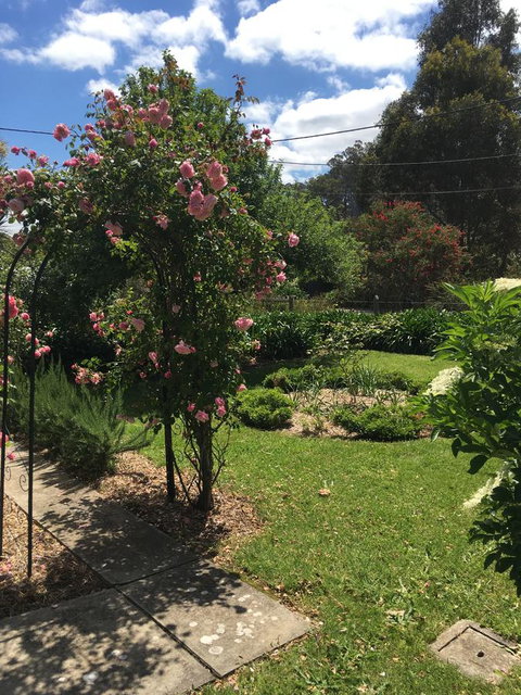 Hilltop Too - Accommodation Redcliffe 13