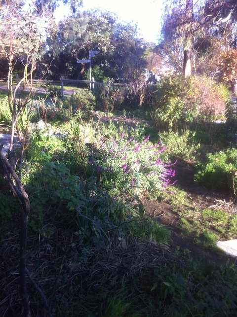 Hilltop Too - Accommodation Redcliffe 12